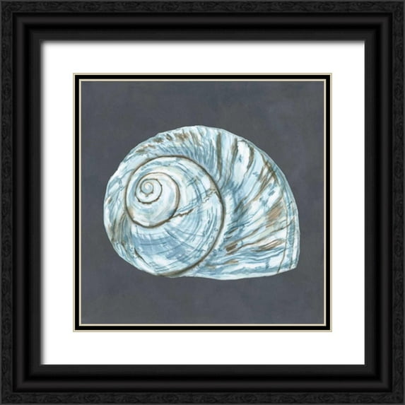 Meagher, Megan 20x20 Black Ornate Wood Framed with Double Matting Museum Art Print Titled - Shell on Slate VIII