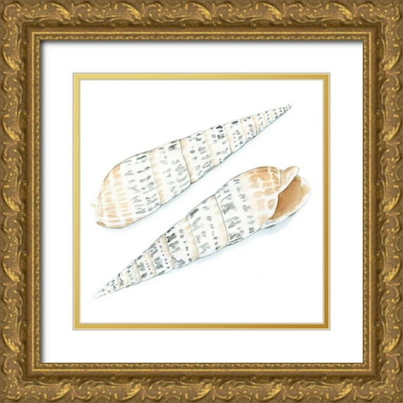 Meagher, Megan 20x20 Gold Ornate Wood Framed with Double Matting Museum Art Print Titled - Watercolor Shells IX