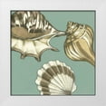 thumbnail image 1 of Meagher, Megan 20x20 White Modern Wood Framed Museum Art Print Titled - Small Shell Trio on Blue III, 1 of 4