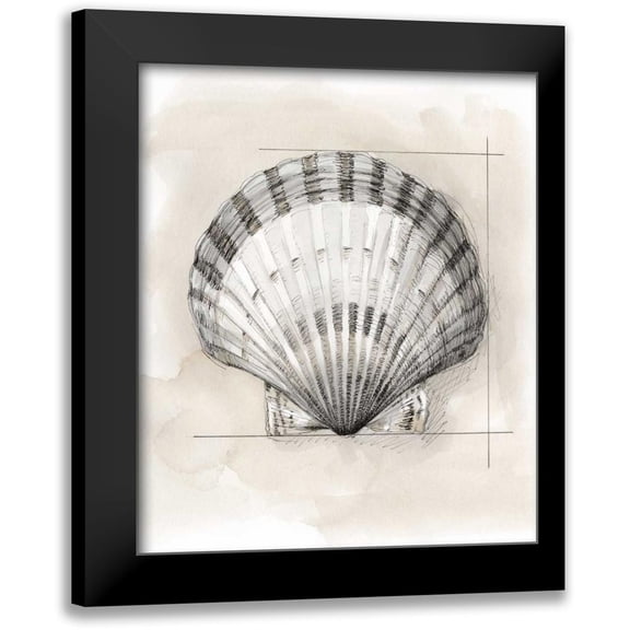 Meagher, Megan 20x23 Black Modern Framed Museum Art Print Titled - Shell Schematic III