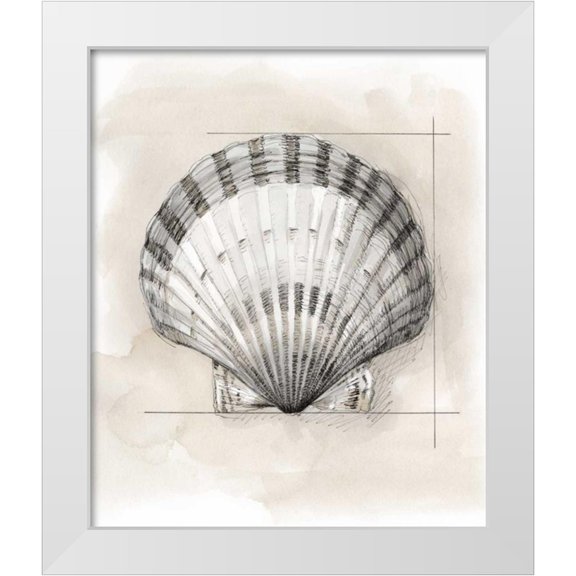 Meagher, Megan 20x23 White Modern Wood Framed Museum Art Print Titled - Shell Schematic III