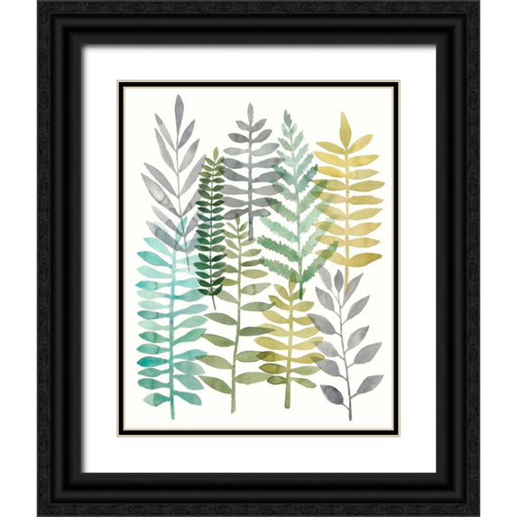 Meagher, Megan 20x24 Black Ornate Wood Framed with Double Matting Museum Art Print Titled - Watercolor Botany II