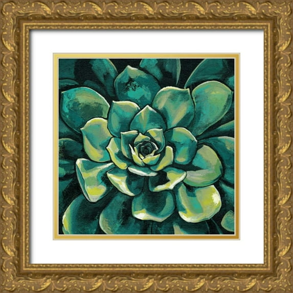 Meagher, Megan 26x26 Gold Ornate Wood Framed with Double Matting Museum Art Print Titled - Succulent Bloom I