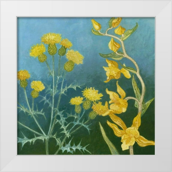 Meagher, Megan 26x26 White Modern Wood Framed Museum Art Print Titled - Azure Blooms II