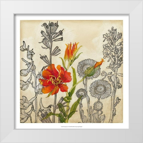 Meagher, Megan 26x26 White Modern Wood Framed Museum Art Print Titled - Emerging Lily