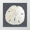 thumbnail image 1 of Meagher, Megan 26x26 White Modern Wood Framed Museum Art Print Titled - Shell on Slate II, 1 of 4