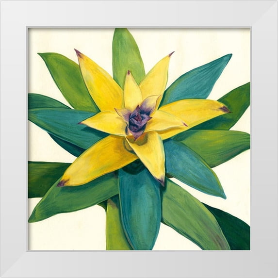 Meagher, Megan 26x26 White Modern Wood Framed Museum Art Print Titled - Tropical Bloom I