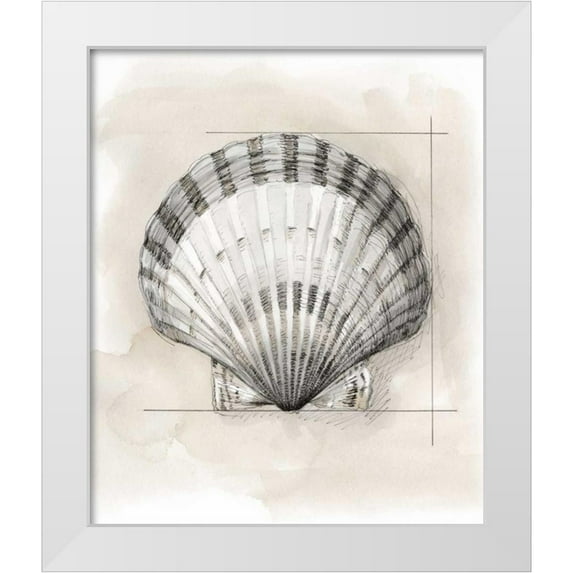 Meagher, Megan 26x30 White Modern Wood Framed Museum Art Print Titled - Shell Schematic III