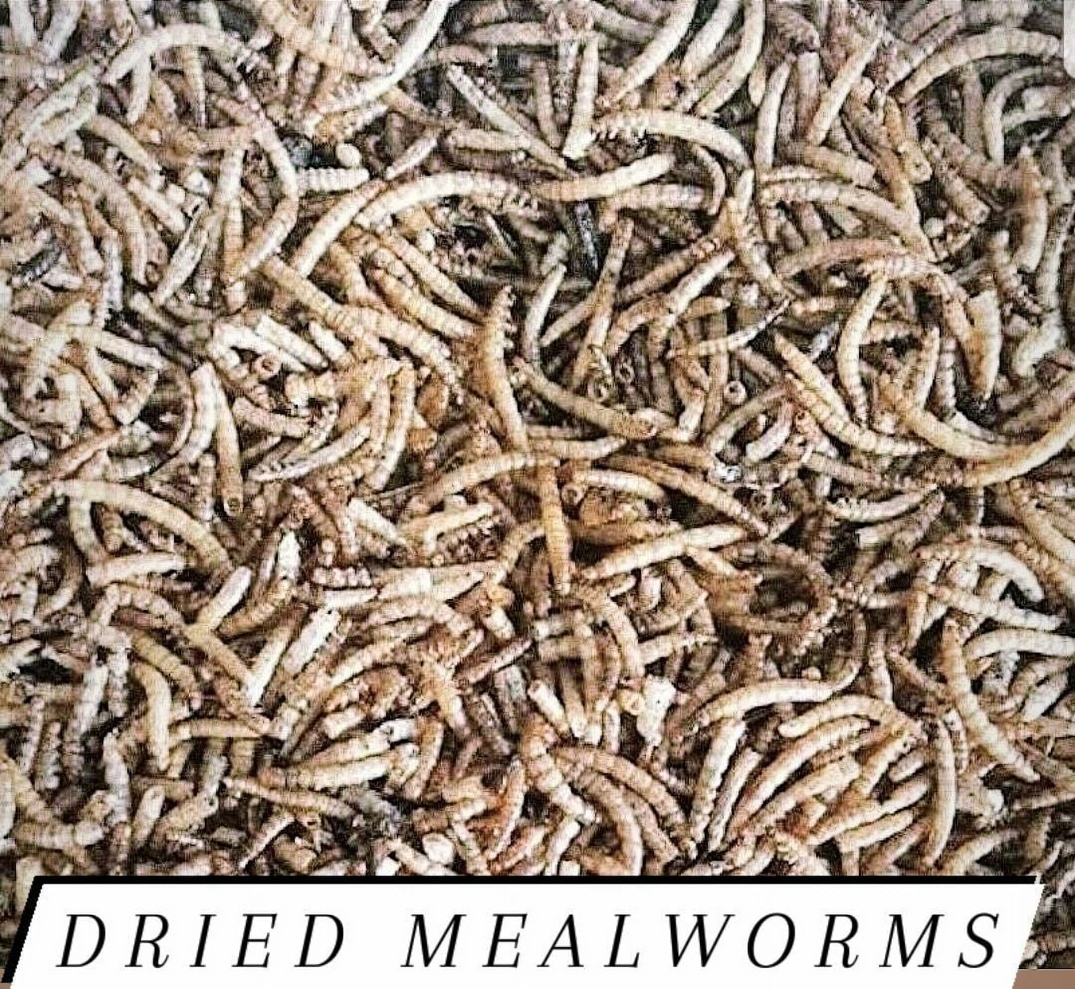 Mealworms Freeze Dried Bulk for Chickens and/or Fish Choose Size
