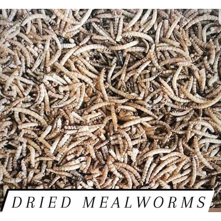 Mealworms Freeze Dried Bulk for Chickens and/or Fish Choose Size!!