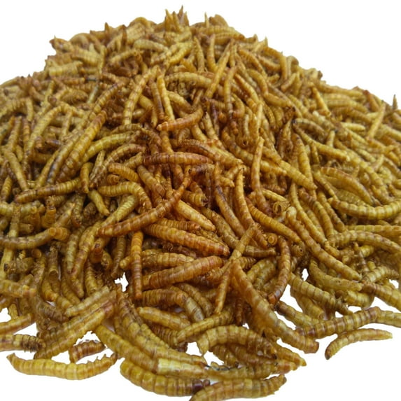 Mealworms--Freeze Dried, Koi & Pond Fish, Large Fish,Turtles, Birds & Reptiles…25-lbs
