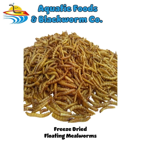 Mealworms--Freeze Dried, Koi & Pond Fish, Large Fish,Turtles, Birds & Reptiles…3-lbs