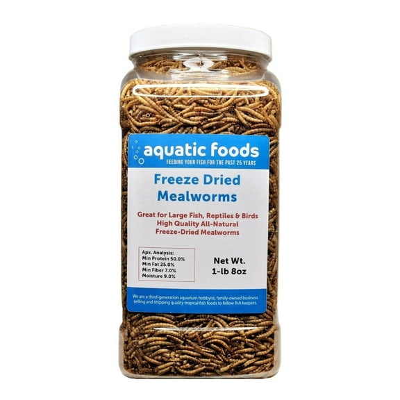 Mealworms-- Freeze Dried Mealworms for Tropical Fish, Pond Fish, Reptiles, Turtles, Tortoises, Frogs, Hamsters, Birds, Rodents…1-lb & 8oz Lg Jar