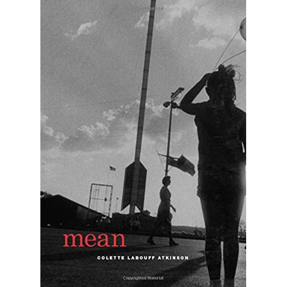 Pre-Owned Mean (Paperback) 0226030598 9780226030593