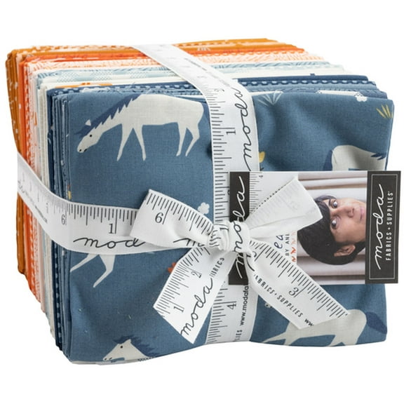 Meander AB Bundle By Aneela Hoey; 34 18-inch by 22-inch Precut Fabric Fat Quarters