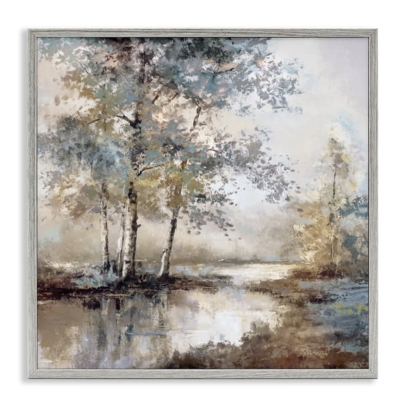 Stupell Industries Meandering River Landscape Gray Framed Giclee Art, design by T.C. Chiu, 24 x 24