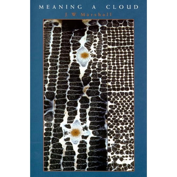 Meaning a Cloud (Paperback)