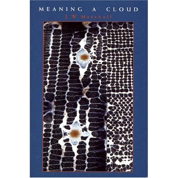 Pre-Owned Meaning a Cloud: Volume 21 (Paperback) 0932440320 9780932440327