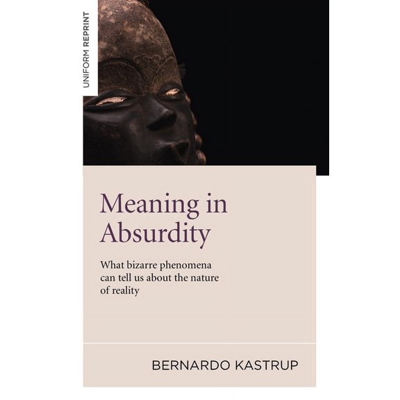 Meaning in Absurdity : What Bizarre Phenomena Can Tell Us About the Nature of Reality (Paperback)