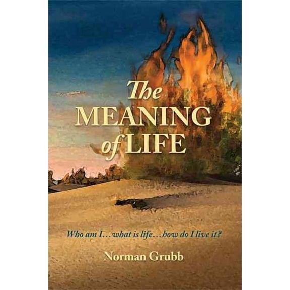 Meaning of Life : Who Am I...what Is Life...how Do I Live It?