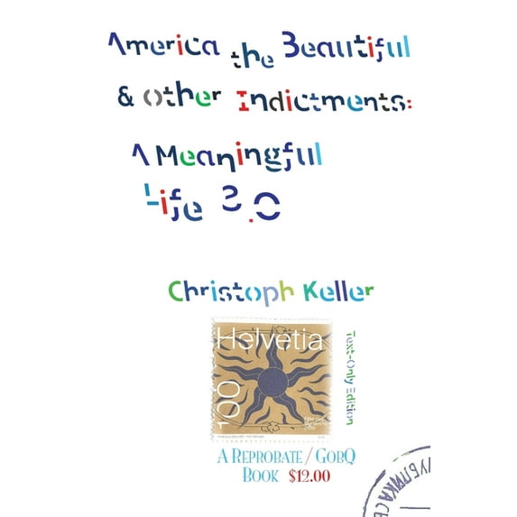 Meaningful Life America the Beautiful & Other Indictments: A Meaningful Life 3.0, Book 3.0, (Paperback)
