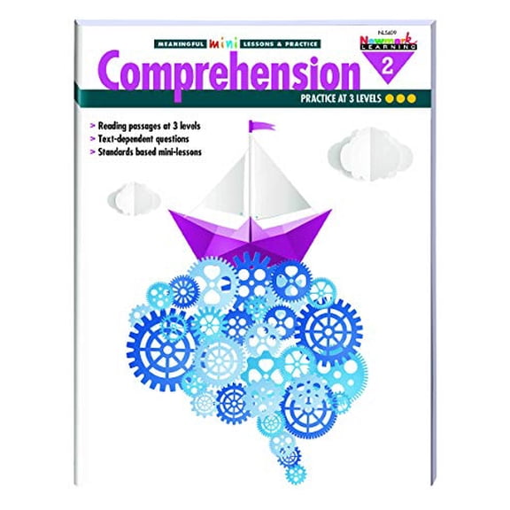 Pre-Owned Meaningful Mini-Lessons & Practice: Comprehension Gr 2 Teacher Resource (Meaningful Mini-Lessons (En)) Paperback