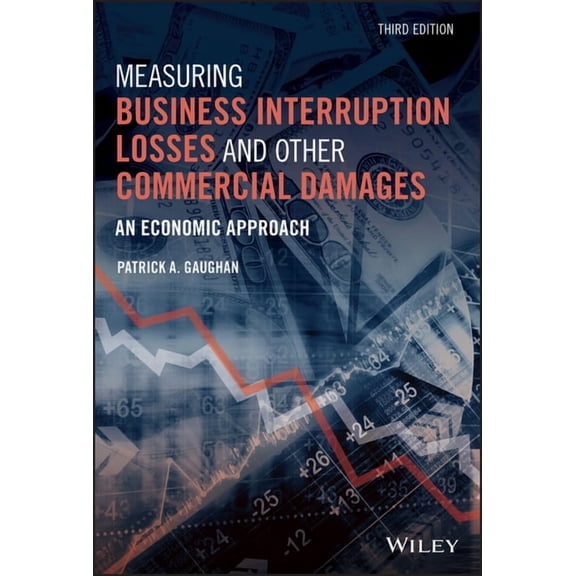 Measuring Business Interruption Losses and Other Commercial Damages: An Economic Approach (Hardcover)