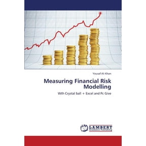 Measuring Financial Risk Modelling (Paperback)
