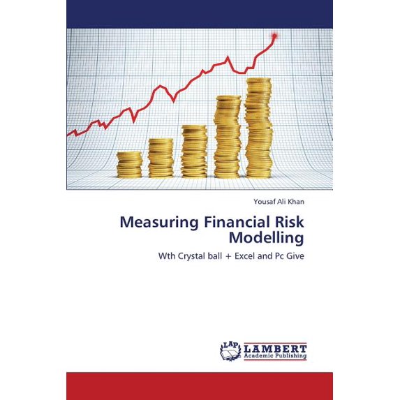 Measuring Financial Risk Modelling (Paperback)