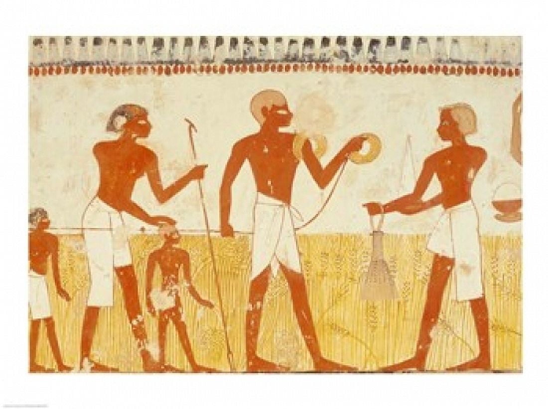Measuring the land using rope from the Tomb Chapel of Menna Canvas Art - (36 x 24)