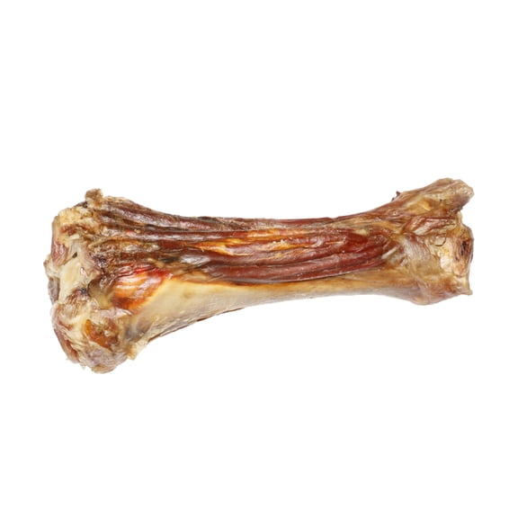 Meaty Beef Shank Bone Dog Chew