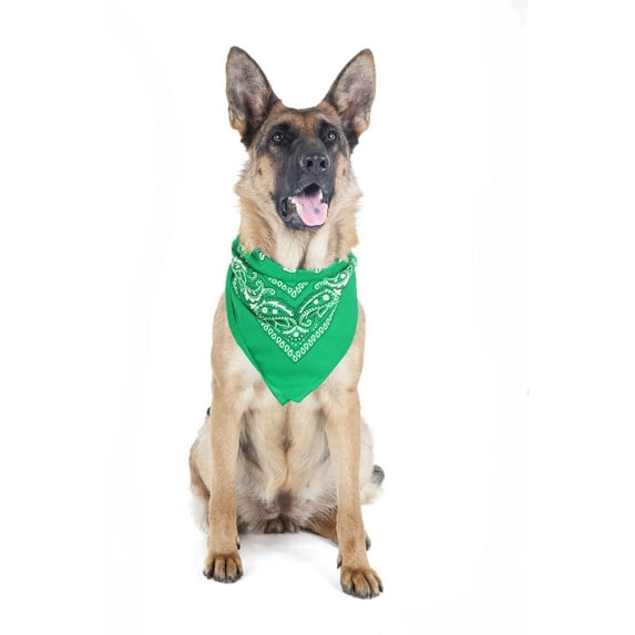 Mechaly 4 Pack Paisley Polyester Pets Dogs Bandana Triangle Shape - Oversized