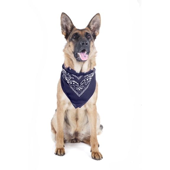 Mechaly 4 Pack Paisley Polyester Pets Dogs Bandana Triangle Shape - Oversized
