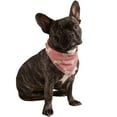 thumbnail image 1 of Mechaly Cotton Funny Dog Bandana with Designs Durable Birthday Pet Scarf (Coral), 1 of 2