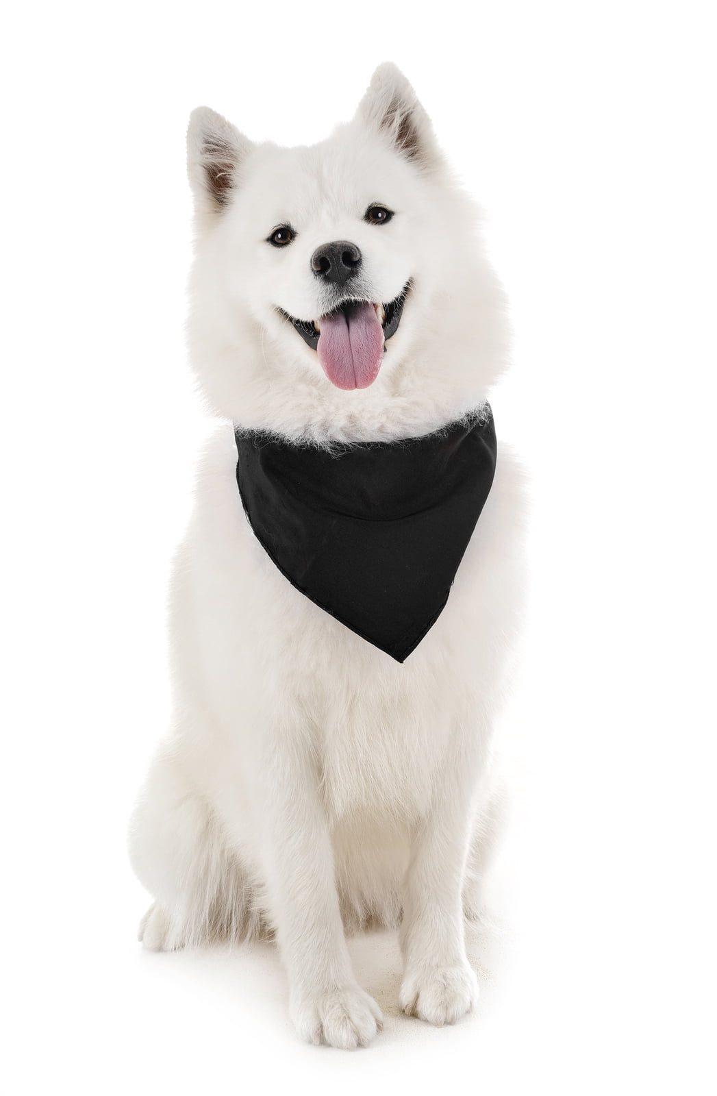 Mechaly Dog Plain Bandanas 2 Pack Scarf Triangle Bibs for