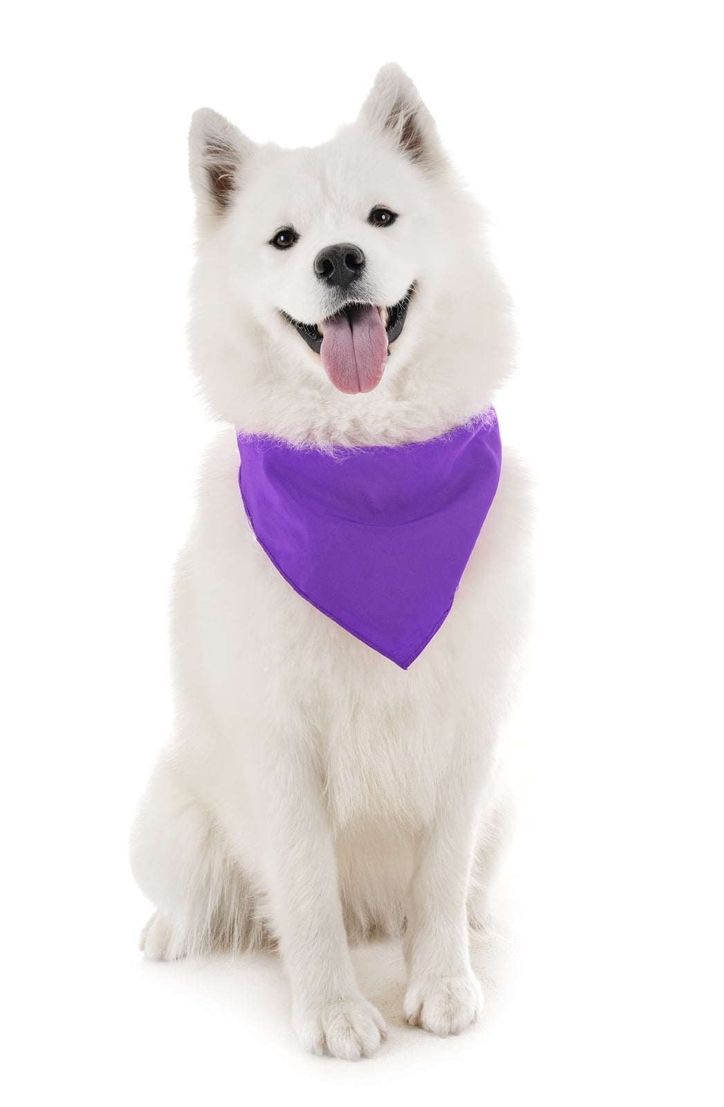 Plain 2025 dog bandanas