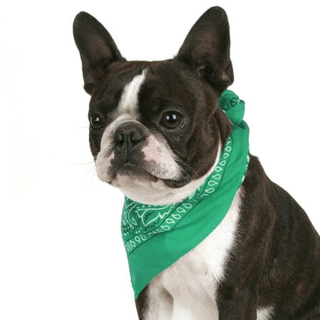 Mechaly Pack of 8 Paisley Cotton Dog Bandana Triangle Shape - Fits Most Pets