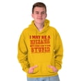 thumbnail image 1 of Mechanic Cant Fix Stupid Rude Honest Hoodie Hooded Sweatshirt Men Brisco Brands 2X, 1 of 6