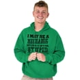 thumbnail image 1 of Mechanic Cant Fix Stupid Rude Honest Men's Big & Tall Graphic Hoodie Brisco Brands 4X, 1 of 4