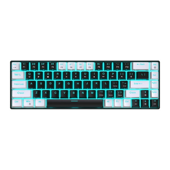 Mechanical Keyboard, Computer Keyboard, Blue Backlit 65% Compact Ergonomic Design USB Wired Gaming Keyboard Blue Switch for Desktop, PC, Home