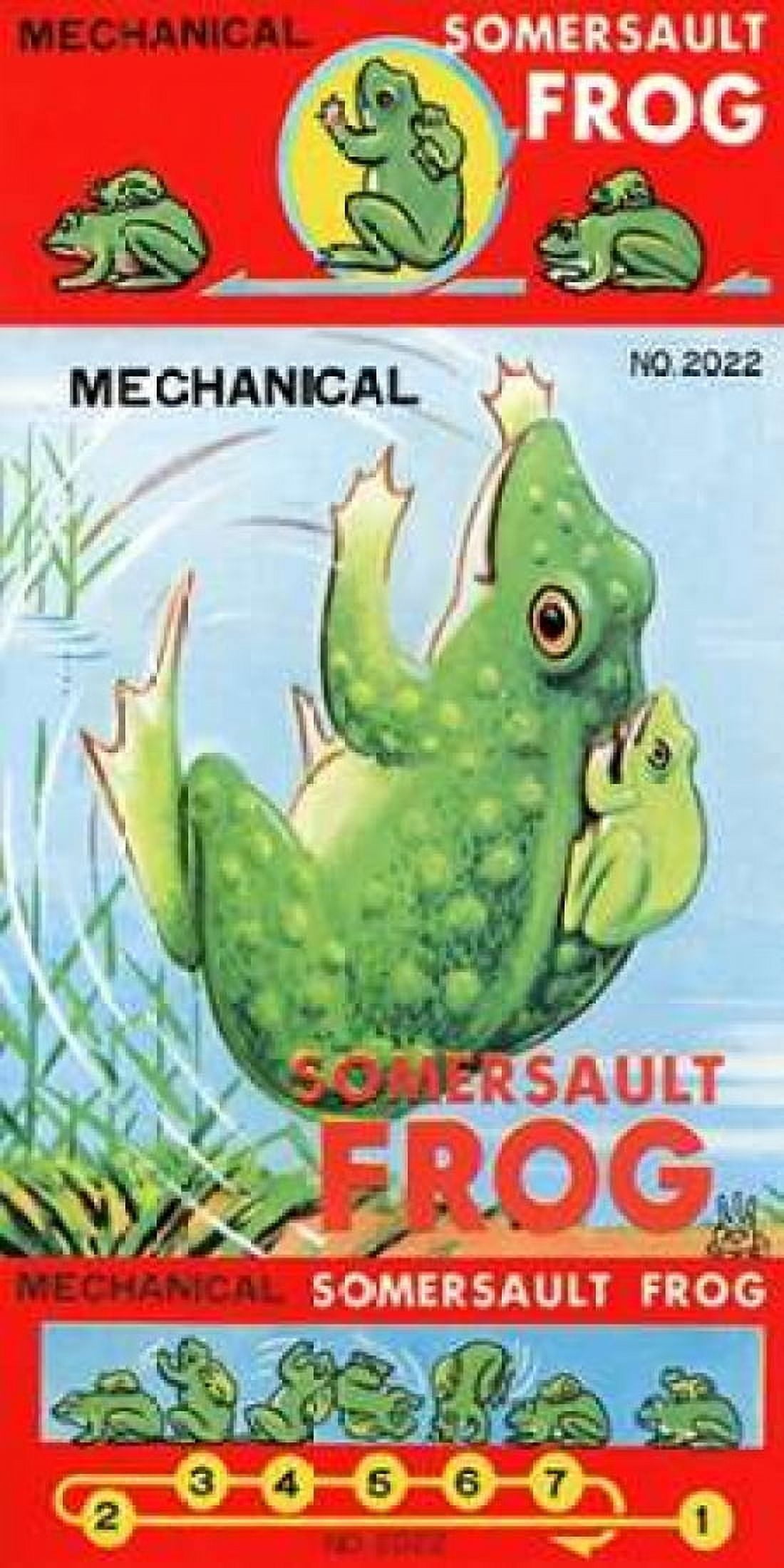 Mechanical Somersault Frog Canvas Art - Retrobot (24 x 48)