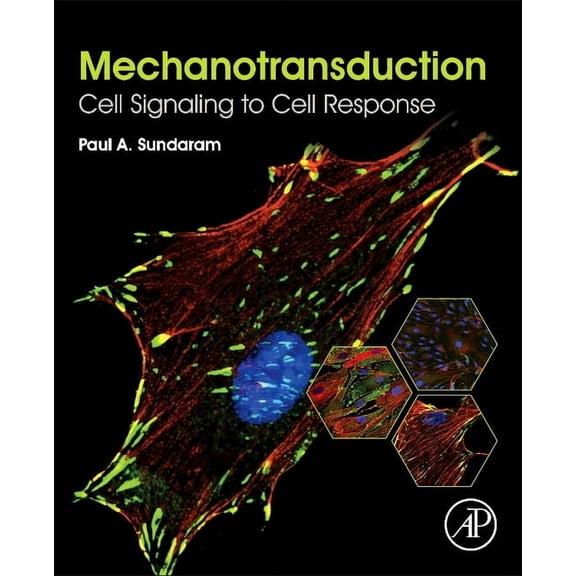 Mechanotransduction: Cell Signaling to Cell Response, (Paperback)