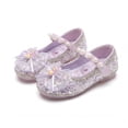 thumbnail image 1 of Meckior Toddler Girls Glitter Mary Jane Shoes Little Kids Low Heel Wedding Party Princess Dress shoes for Little Kids, 1 of 7