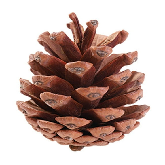 Mecorevxz Christmas Natives Color Pines Cones Christmas Tree Hanging Holiday Decoration Christmas Hanging Shooting Props Wreath Decoration