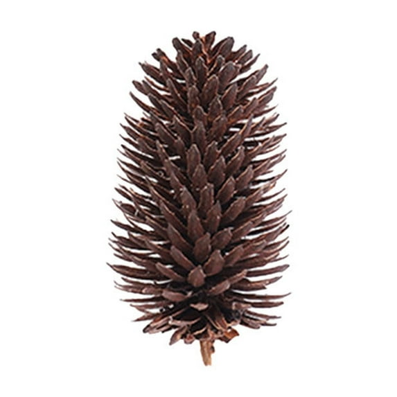 Mecorevxz Christmas Natives Color Pines Cones Christmas Tree Hanging Holiday Decoration Christmas Hanging Shooting Props Wreath Decoration