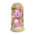 thumbnail image 1 of Mecorevxz Forever Flowers Preserved Roses, Gifts with Light in Glass Dome for Mom Grandma Wife Girlfriend,Flower for Christmas, Valentines Day, Anniversary,Valentines Day Gifts（Purple）, 1 of 7