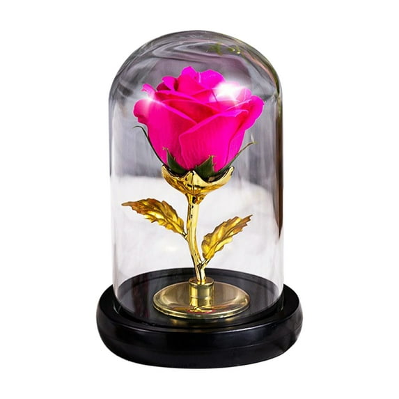 Mecorevxz Rose Flower Gifts for Women, Forever Rose, Galaxy Rose Flower Light Up in Glass Dome, Rose Gifts for Women Mom Wife Girlfriend (Hot Pink)