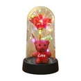 thumbnail image 1 of Mecorevxz Valentines Day Preserved Flower and Teddy Bear Heart Rose Ornament and Ambient Decorative Night Light(Red), 1 of 7