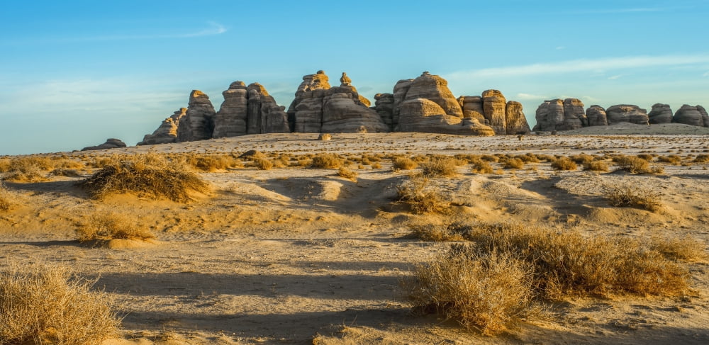 Medain Saleh Saudi Arabia Canvas Art - David Kirkland Design Pics (22 x 10)