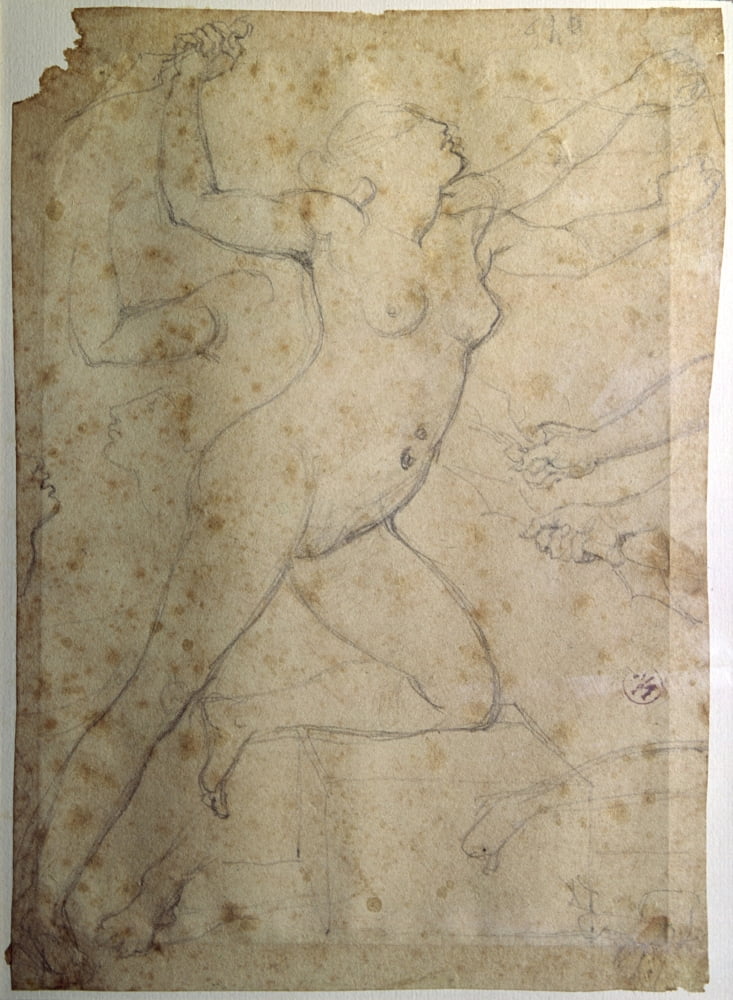 Medea Canvas Art - (24 x 36)